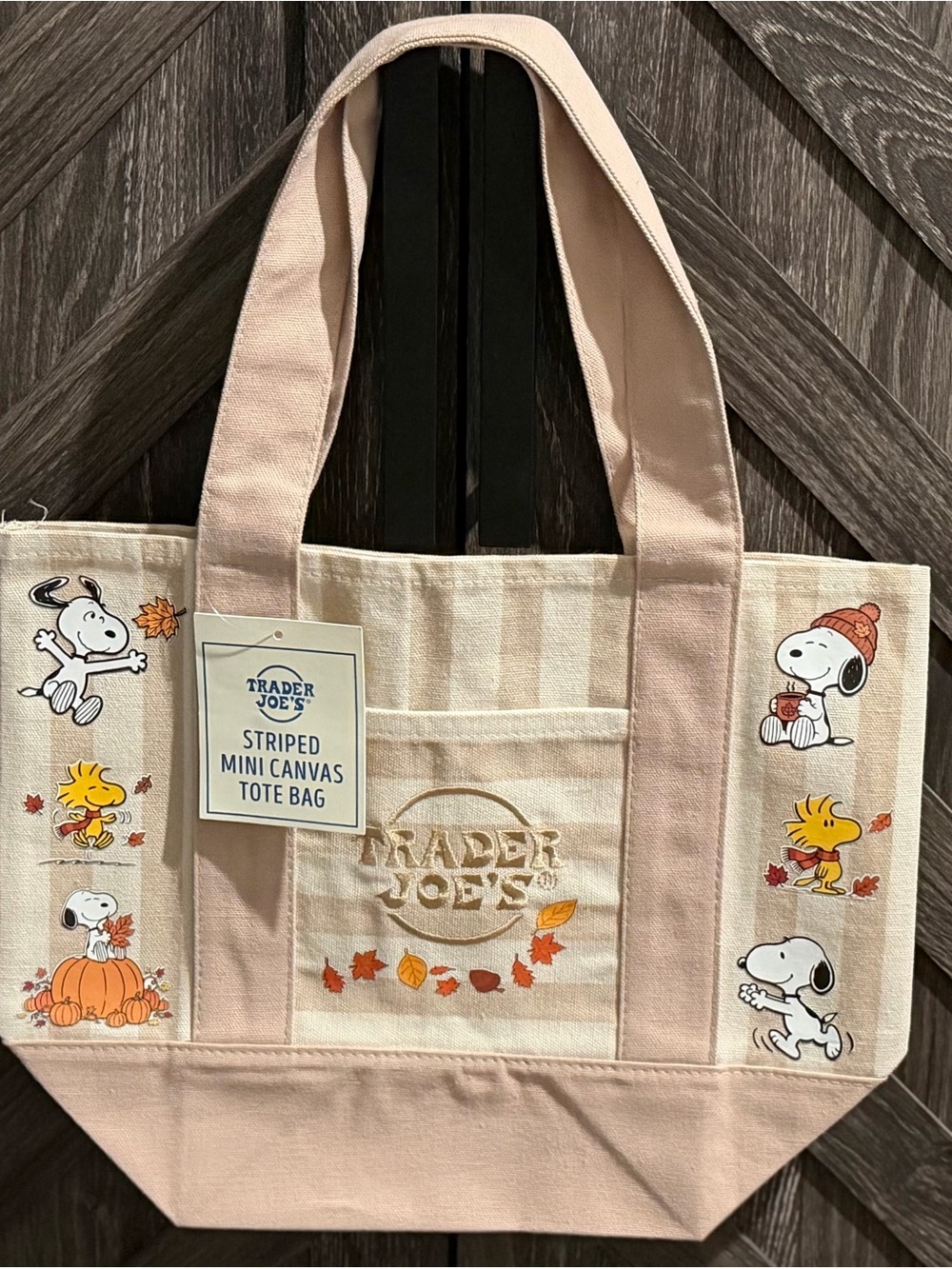 Trader Joe's cream Striped Mini Canvas Tote Bag with Fall Graphics